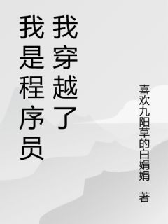 我是程序员我穿越了