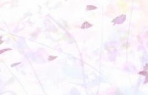《爱情路过不见你》by红柚免费阅读小说大结局
