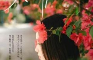 《奇葩姑姑要买房》小说免费阅读 陈青青张胜大结局完整版