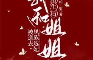 爆款小说《重生后，我和姐姐被送去凤族选妃》主角锦雨凤临全文在线完本阅读