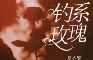 私藏读物《 钓系玫瑰》何皎皎曲东黎完结版免费阅读
