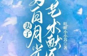 正版小说《妻子为白月光艺术献身》陆沉叶秋妍在线免费阅读